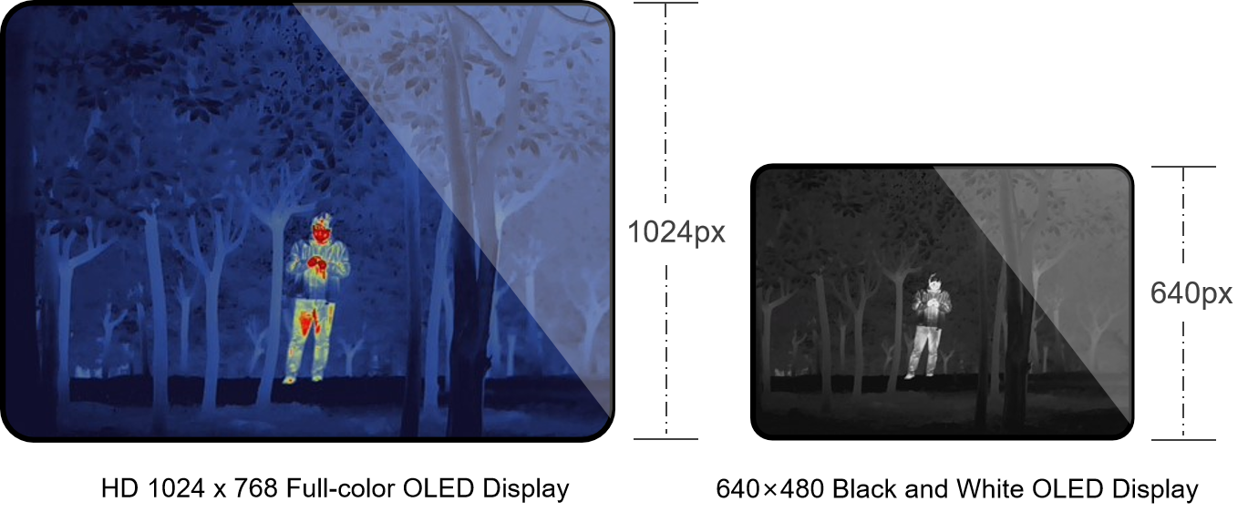 tupian1-yingwen-562.png
