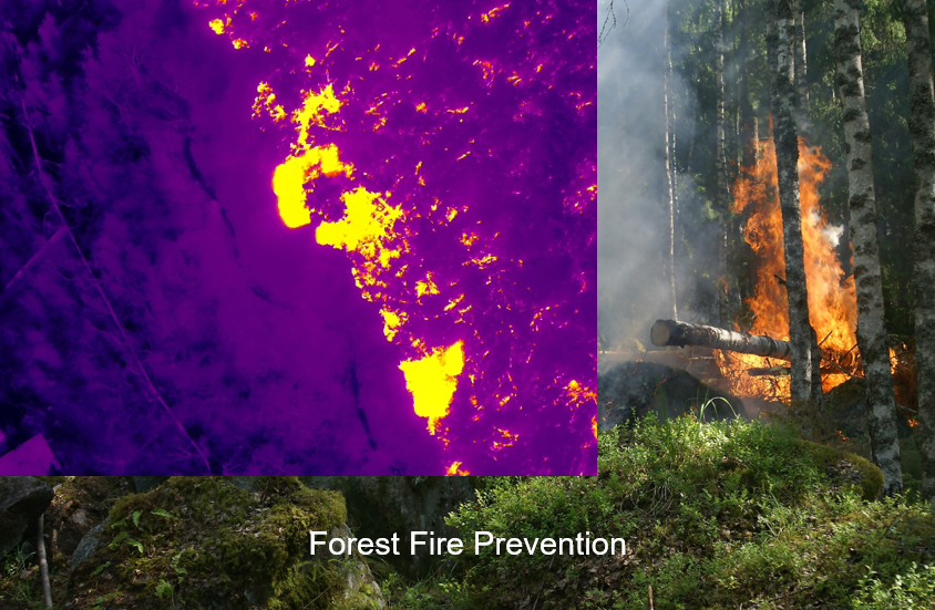 Forest fire prevention.png